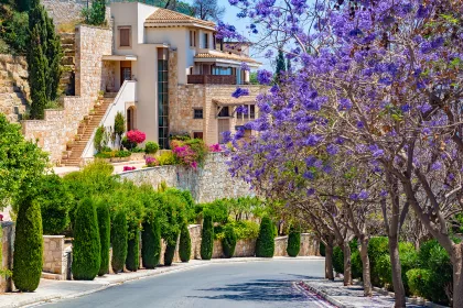 Republic of Cyprus. Pissouri Village. The road goes past floweri