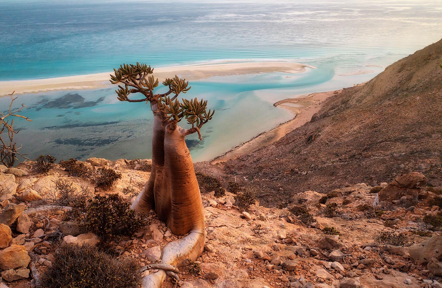 Socotra Island : The Last Stop | Outlook Travel Magazine